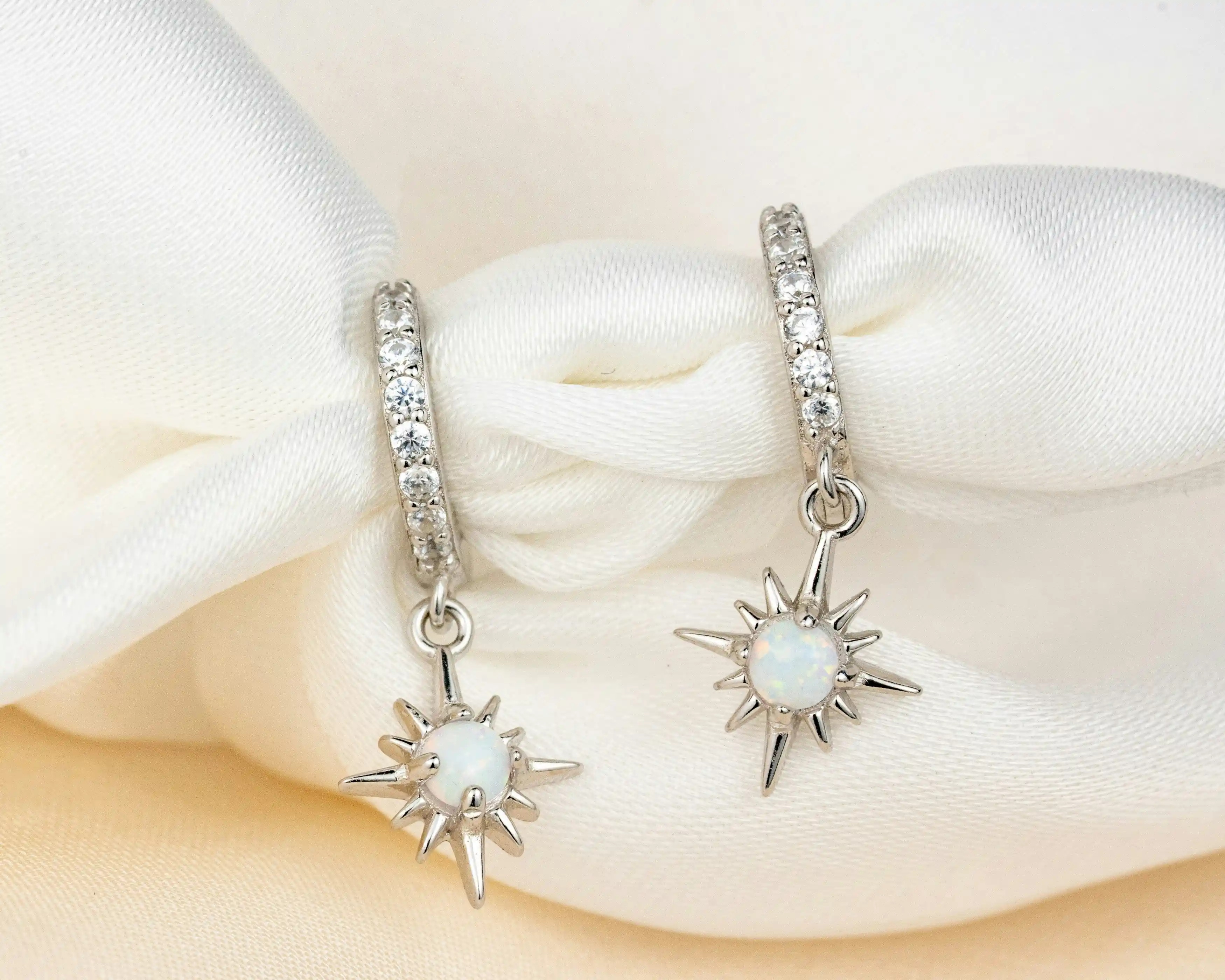 a pair of earrings