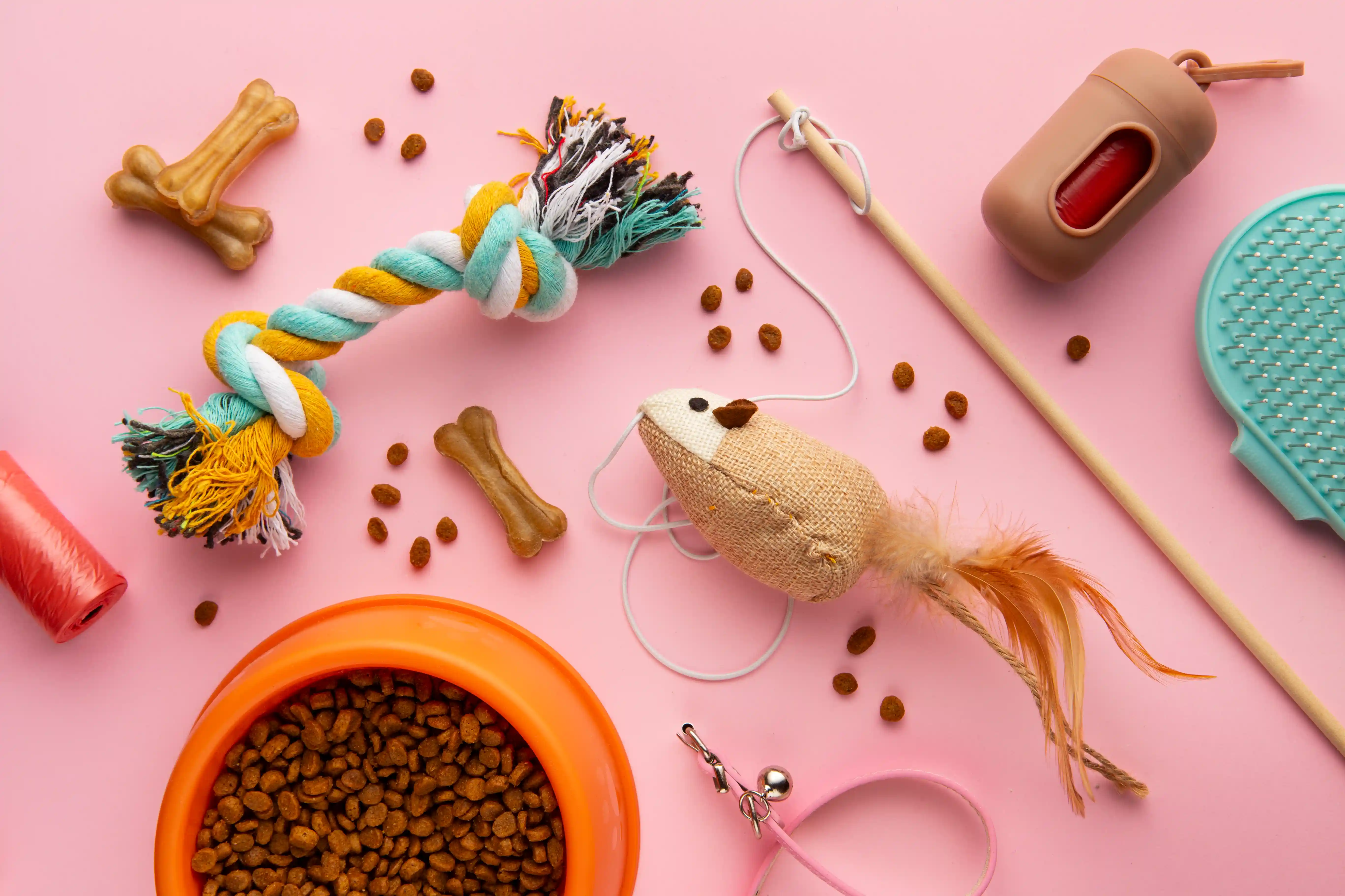 top-view-pet-accessories